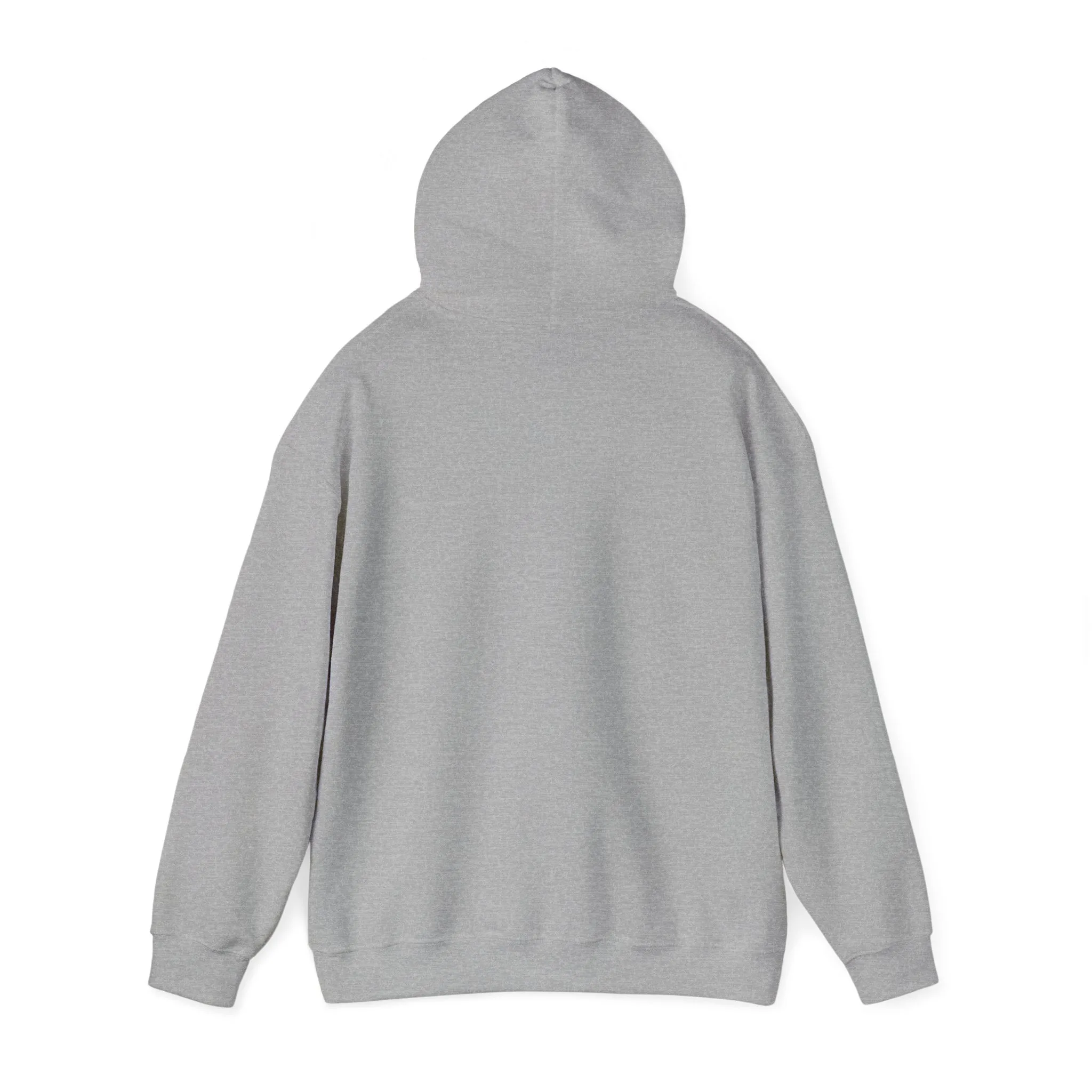 Michigan Storm Chasers Hoodie