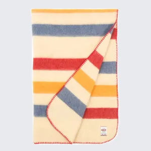 THE PRIMARY BLANKET